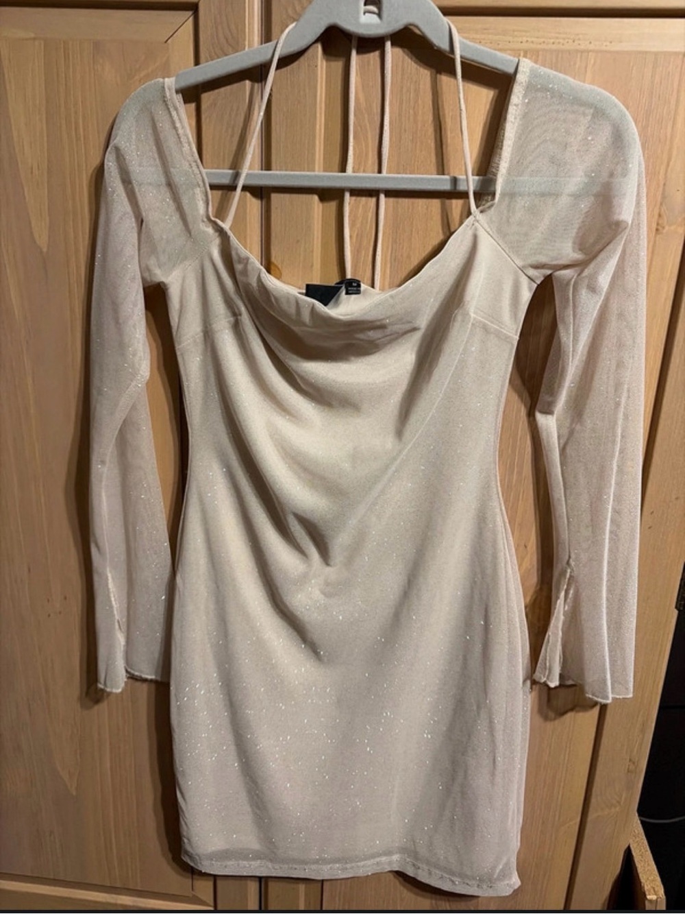 Windsor Ivory Sheer Long Sleeve Mini Dress
